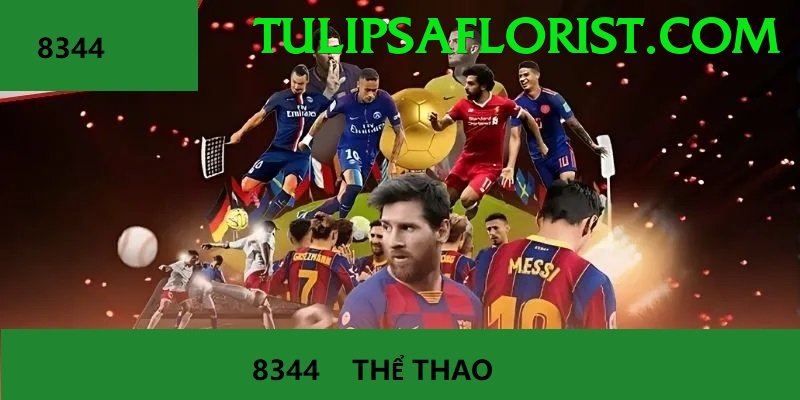 Cá Cược Thể Thao - vk88